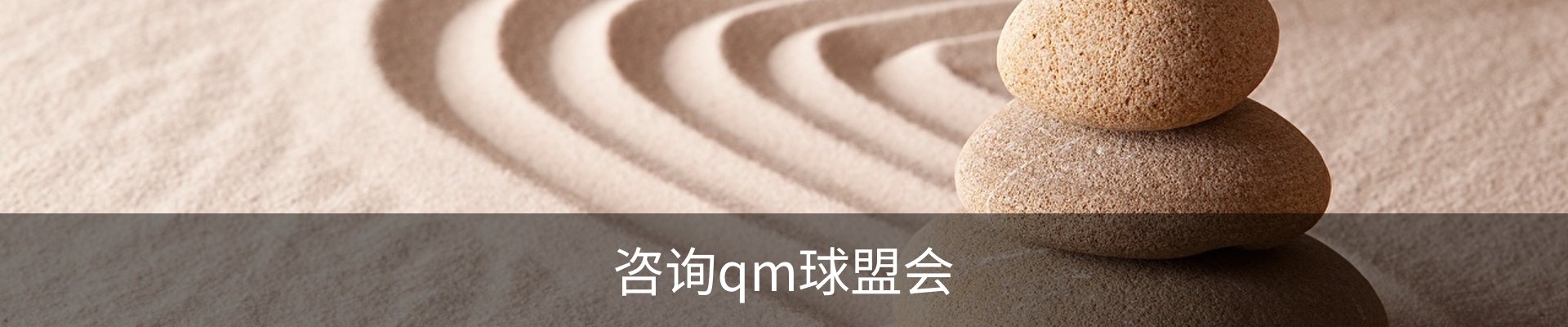 咨询qm球盟会